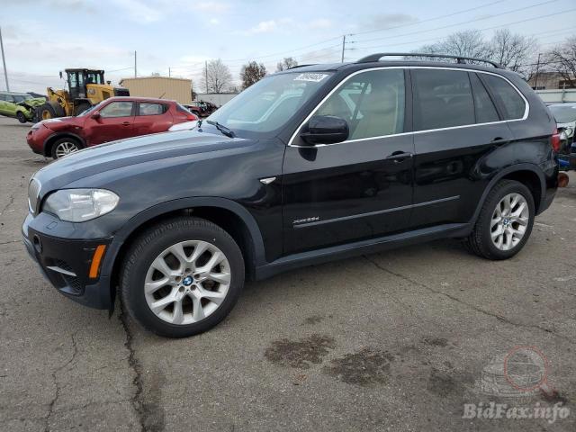 bidfax photo bidfax photo