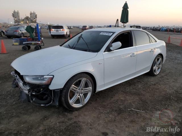 bidfax photo bidfax photo