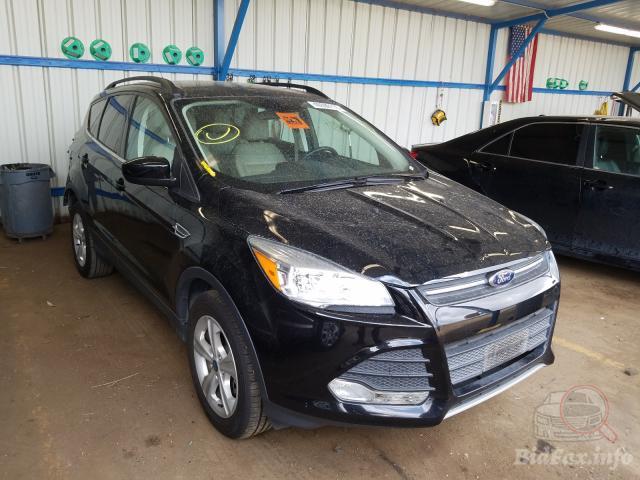 bidfax photo bidfax photo