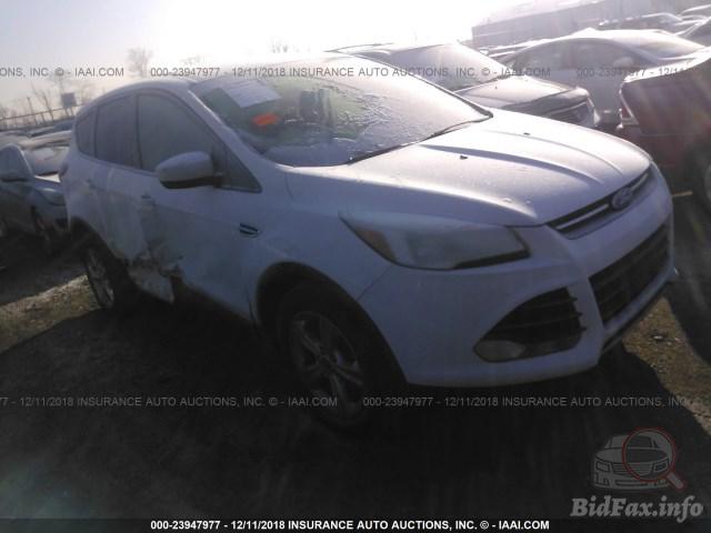 bidfax photo