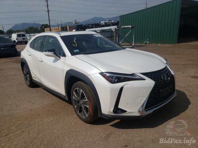 bidfax photo bidfax photo