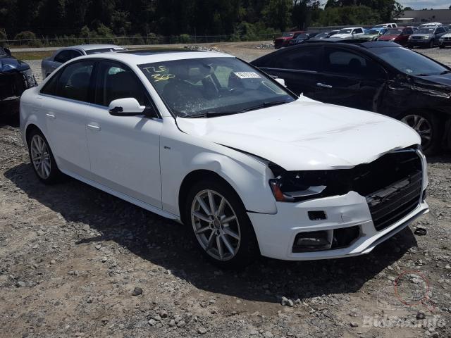 bidfax photo bidfax photo