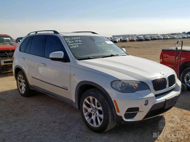 bidfax photo bidfax photo