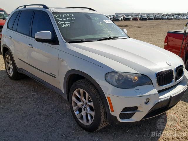 bidfax photo bidfax photo