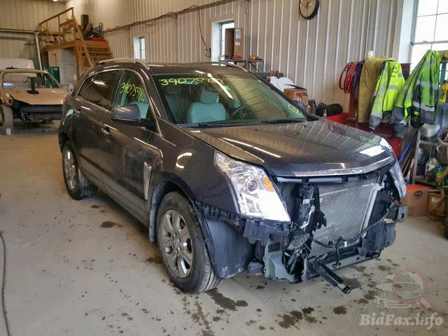 bidfax photo bidfax photo