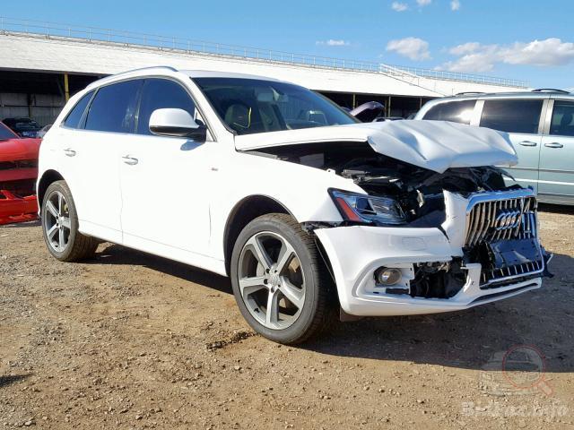 bidfax photo bidfax photo