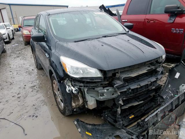 bidfax photo bidfax photo