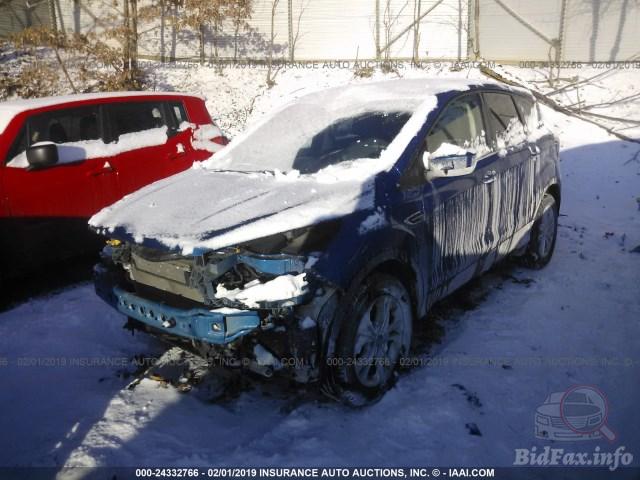 Фото на других сайтах