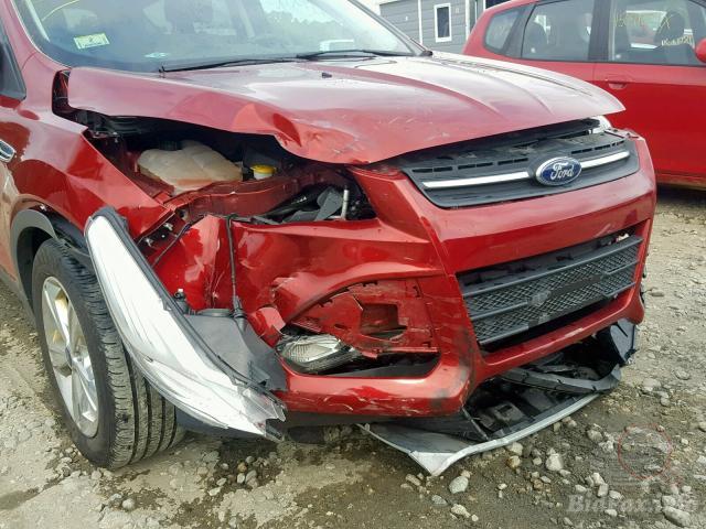 bidfax photo bidfax photo