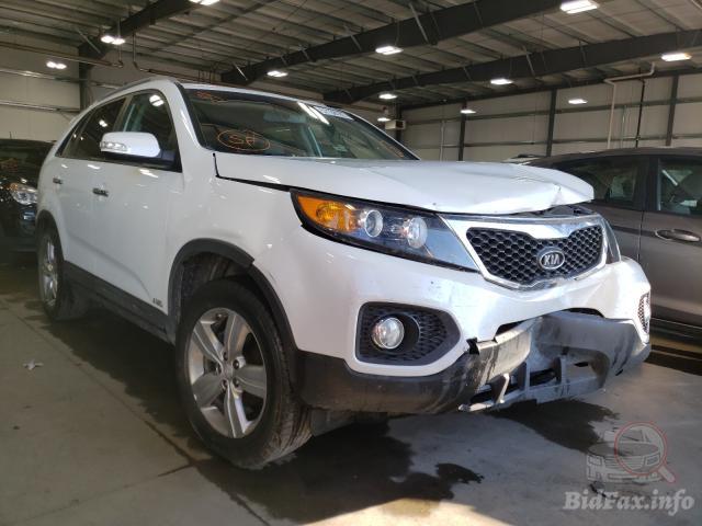 bidfax photo bidfax photo