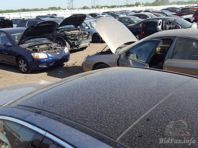 bidfax photo bidfax photo