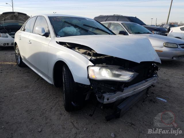 bidfax photo bidfax photo