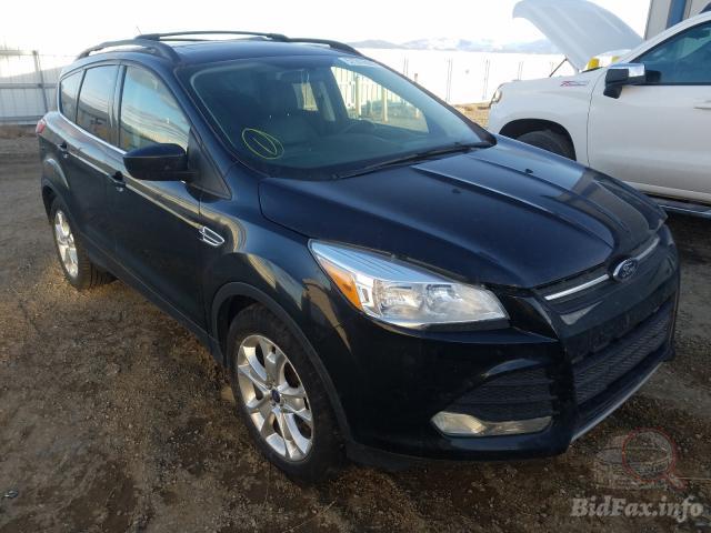 bidfax photo bidfax photo