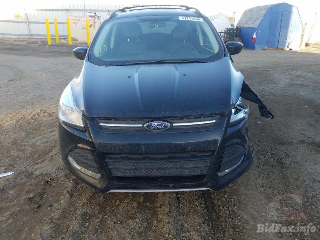 bidfax photo bidfax photo