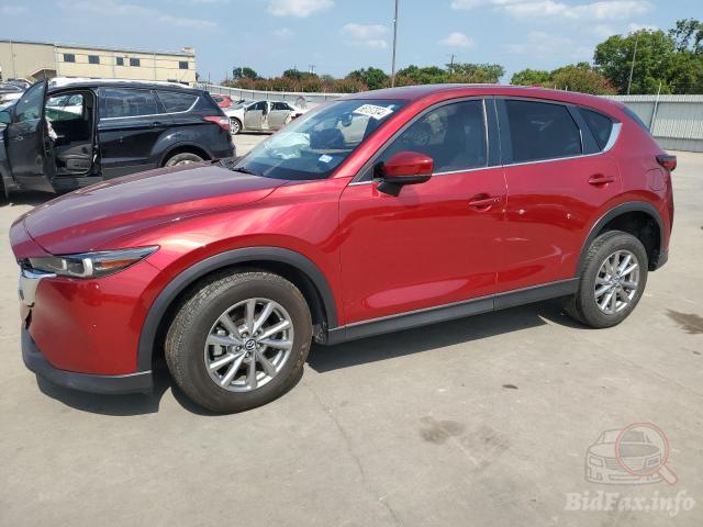 bidfax photo bidfax photo