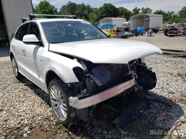 bidfax photo bidfax photo