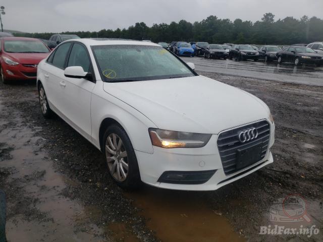 bidfax photo bidfax photo