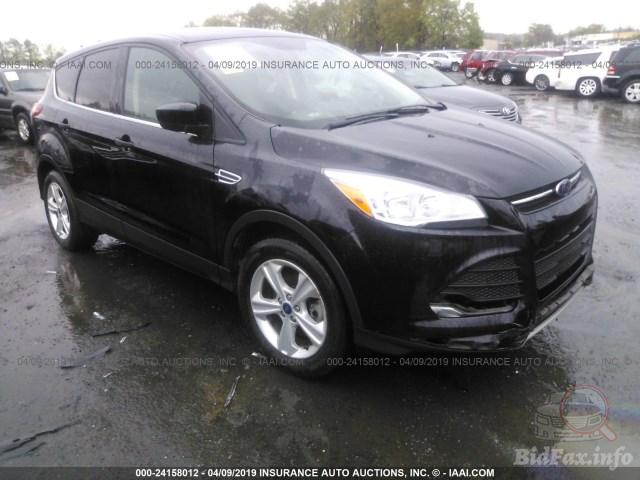 bidfax photo bidfax photo