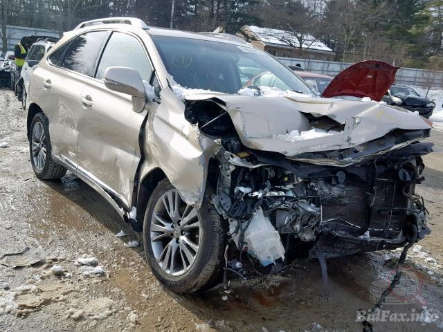 bidfax photo bidfax photo