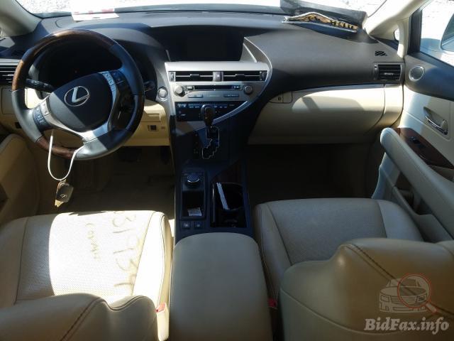 bidfax photo bidfax photo