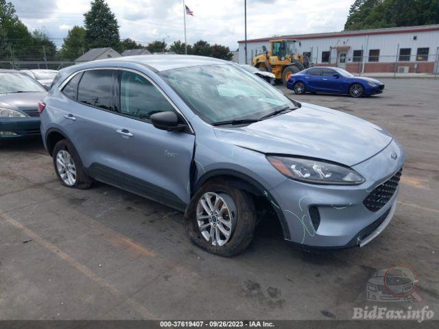 bidfax photo bidfax photo