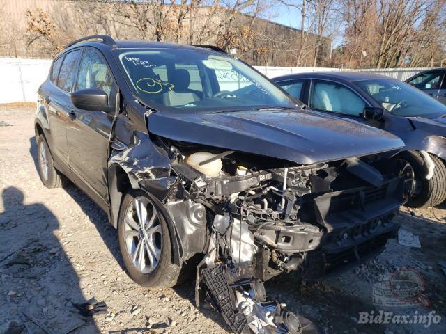 bidfax photo bidfax photo