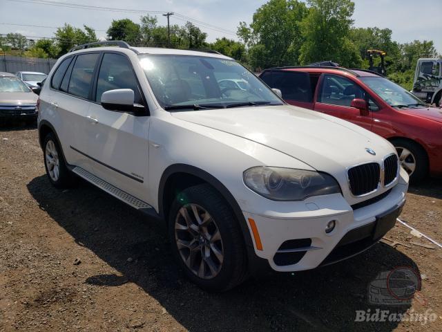 bidfax photo bidfax photo