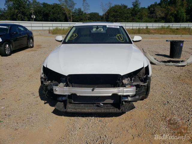 bidfax photo bidfax photo