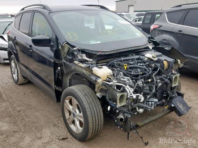 bidfax photo bidfax photo