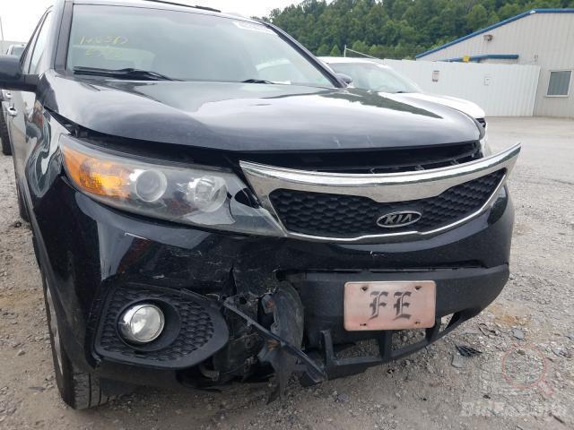 bidfax photo bidfax photo