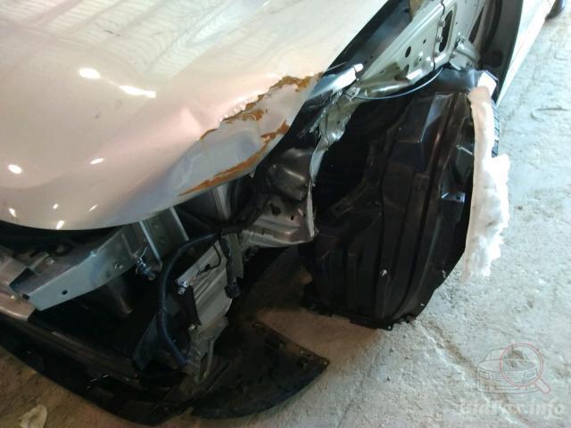 bidfax photo bidfax photo