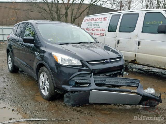 bidfax photo bidfax photo