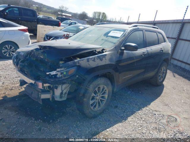 Jeep Cherokee 2019 VIN 1C4PJLLB1LD556051 фото оголошення 30 з 54