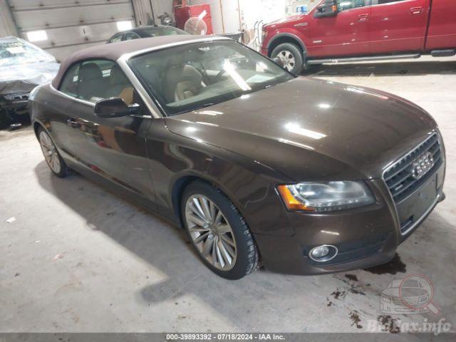 bidfax photo bidfax photo