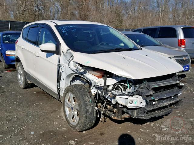 bidfax photo bidfax photo