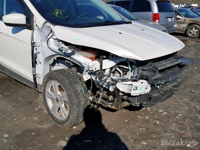 bidfax photo bidfax photo