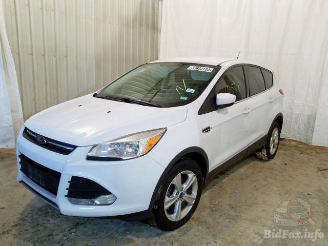 bidfax photo bidfax photo