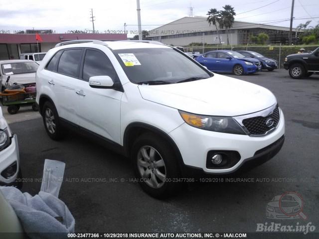 bidfax photo bidfax photo