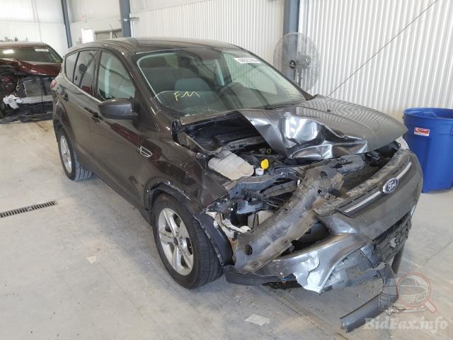 bidfax photo bidfax photo