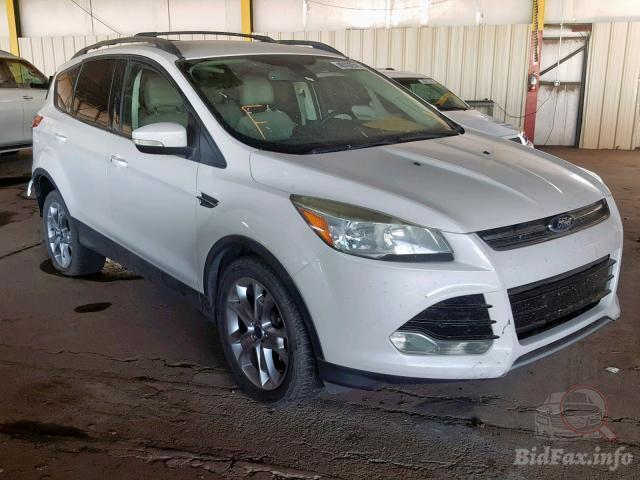 bidfax photo bidfax photo