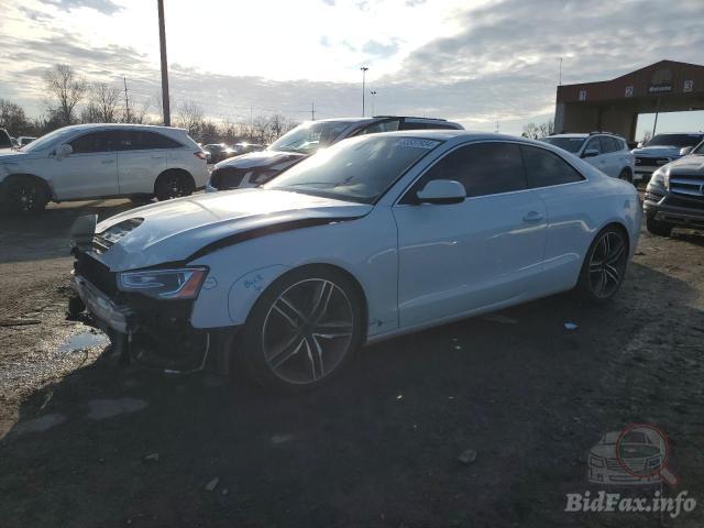 bidfax photo bidfax photo