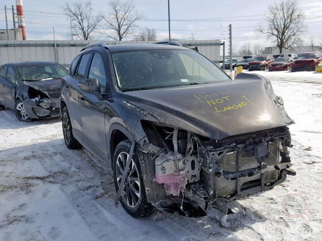 bidfax photo bidfax photo