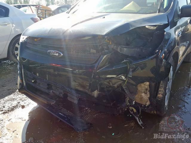 bidfax photo bidfax photo