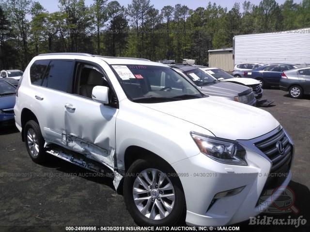 bidfax photo bidfax photo