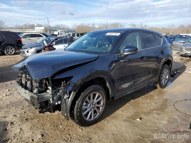 bidfax photo bidfax photo