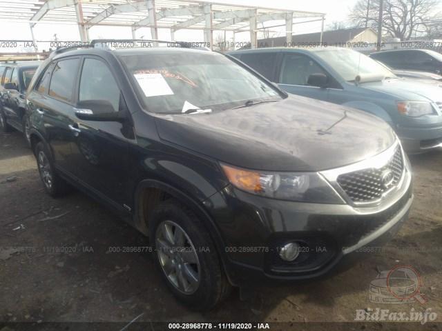 bidfax photo bidfax photo