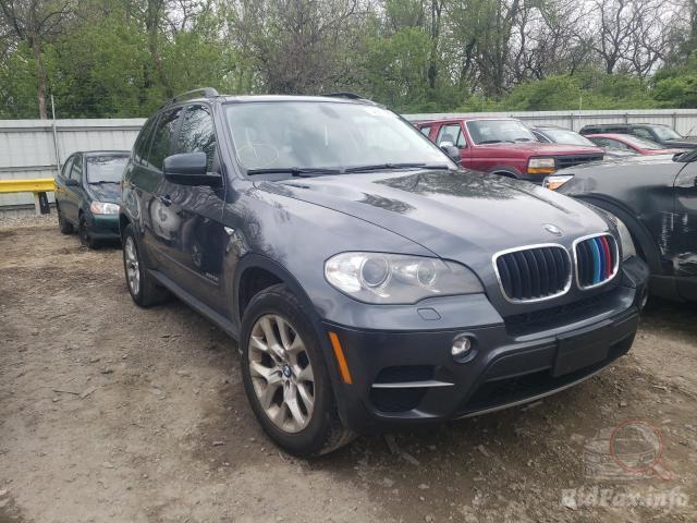 bidfax photo bidfax photo