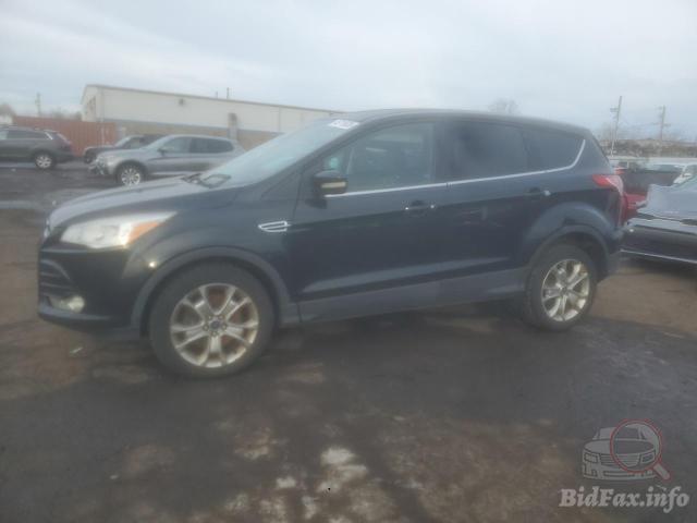 bidfax photo bidfax photo