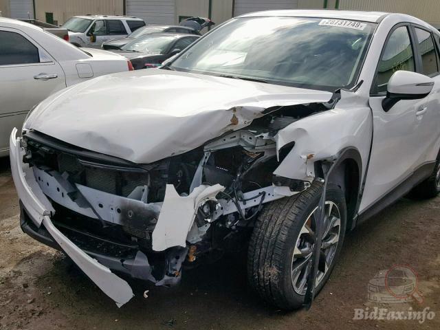 bidfax photo bidfax photo