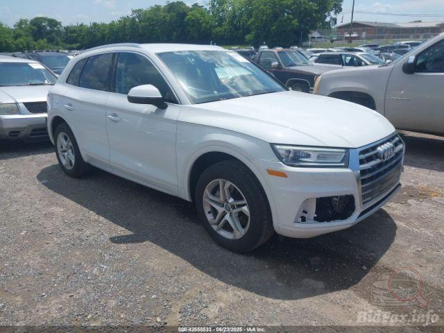 bidfax photo bidfax photo